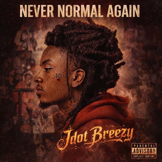 Never Normal Again cover art