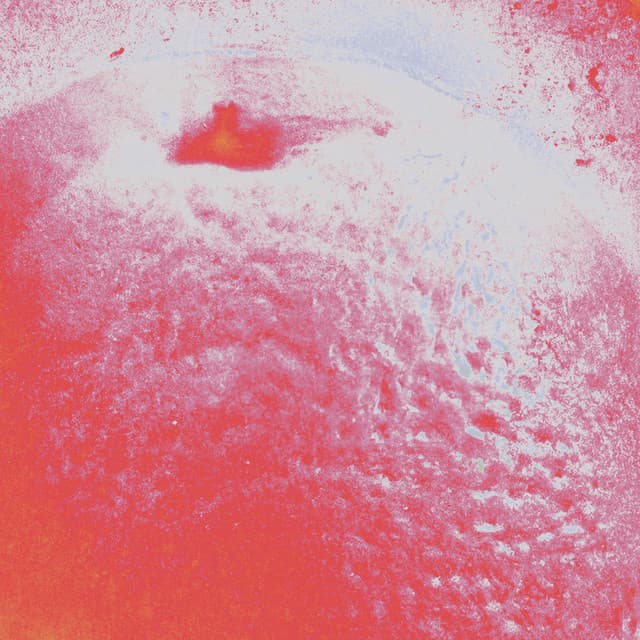 ACIDDDDDDD cover art