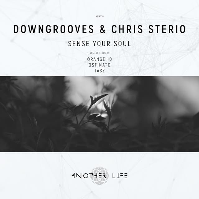 Sense Your Soul - Ostinato Remix cover art