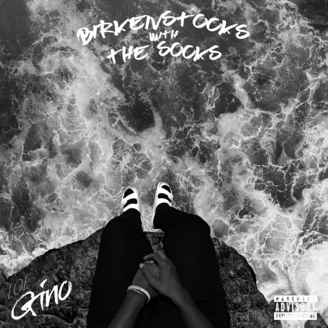 Birkenstocks with the Socks cover art
