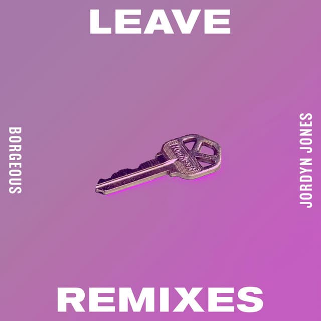 Leave - Costa Music Remix cover art