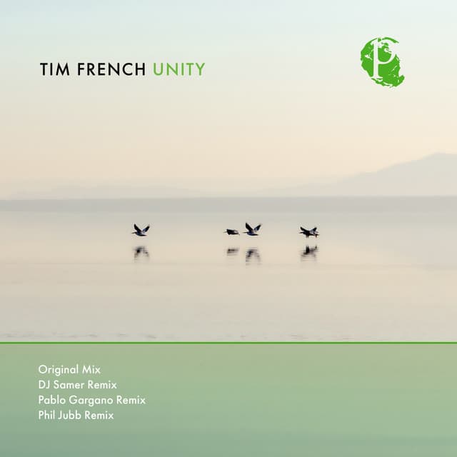 Unity - DJ Samer Remix cover art