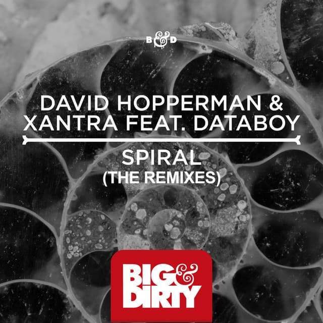 Spiral - Beenie Becker Remix cover art