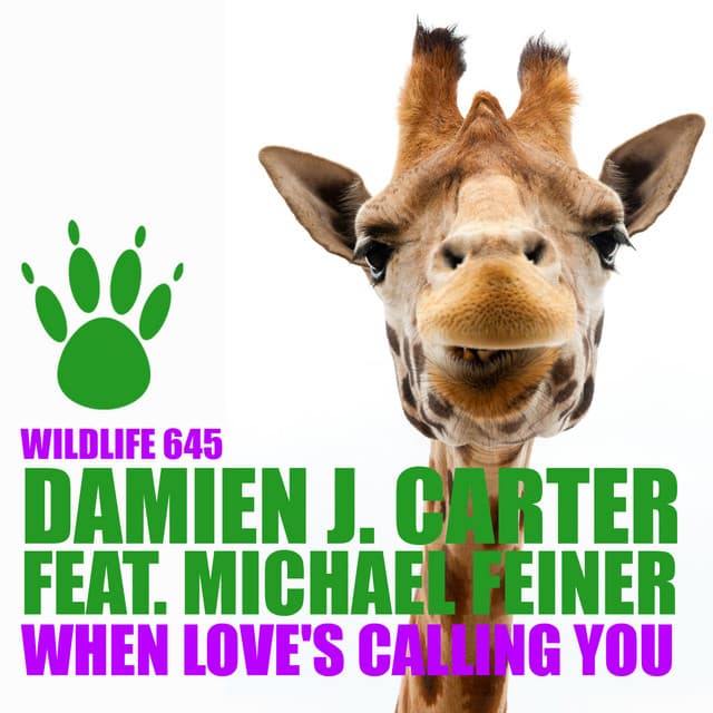 When Love's Calling You - DJ Cross Remix cover art