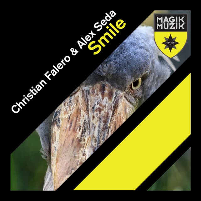 Smile cover art