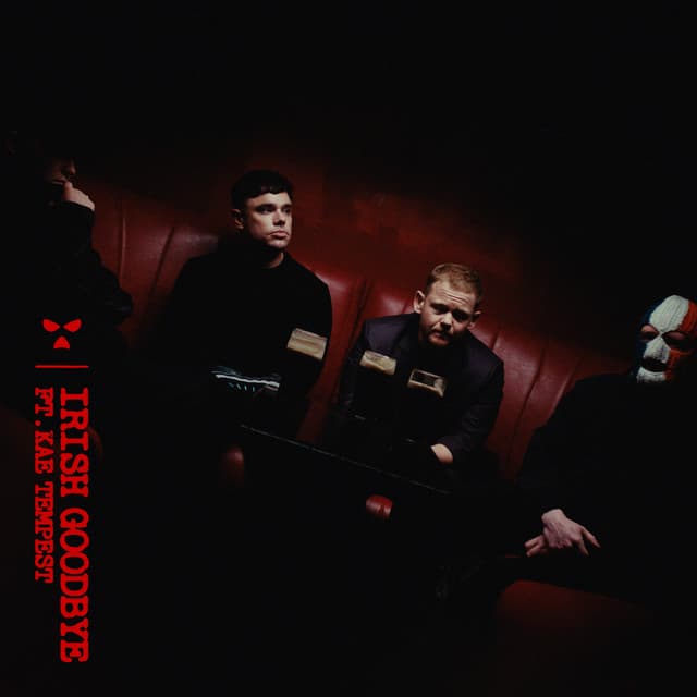 Irish Goodbye cover art