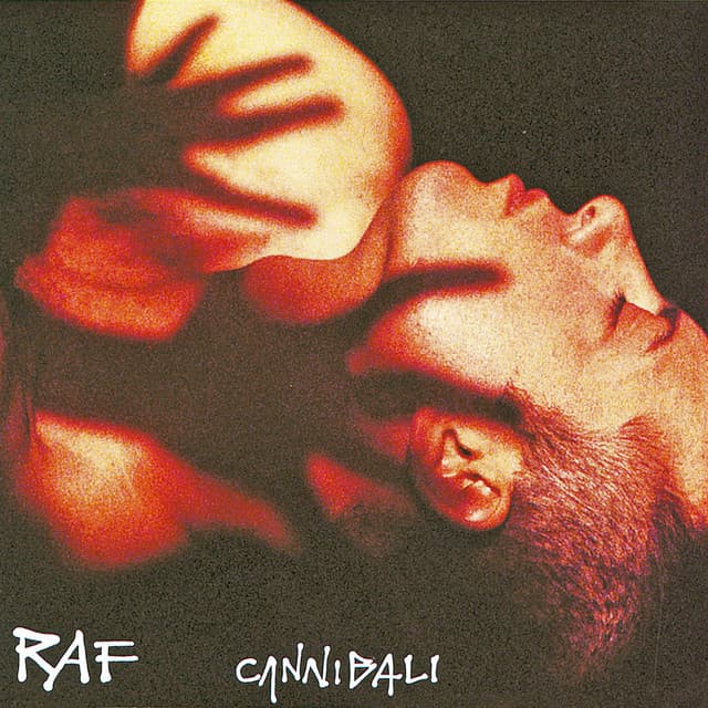 Il battito animale cover art