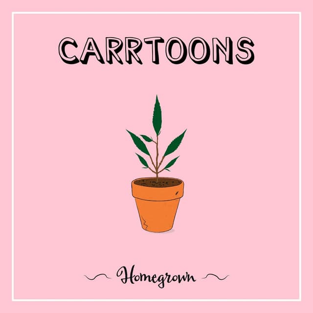 Flamingos cover art