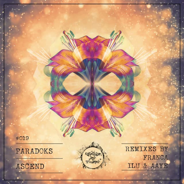 Voices Inside - Franca Rave House Remix cover art