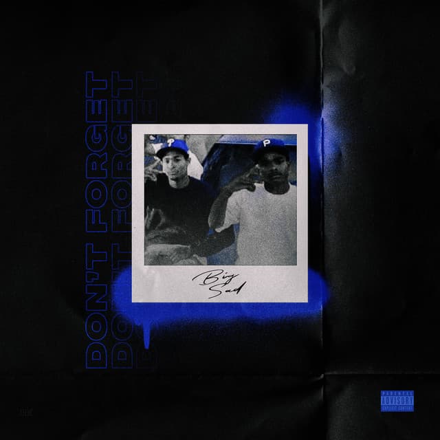Been a Hot Nigga (feat. WLA Stevo) cover art