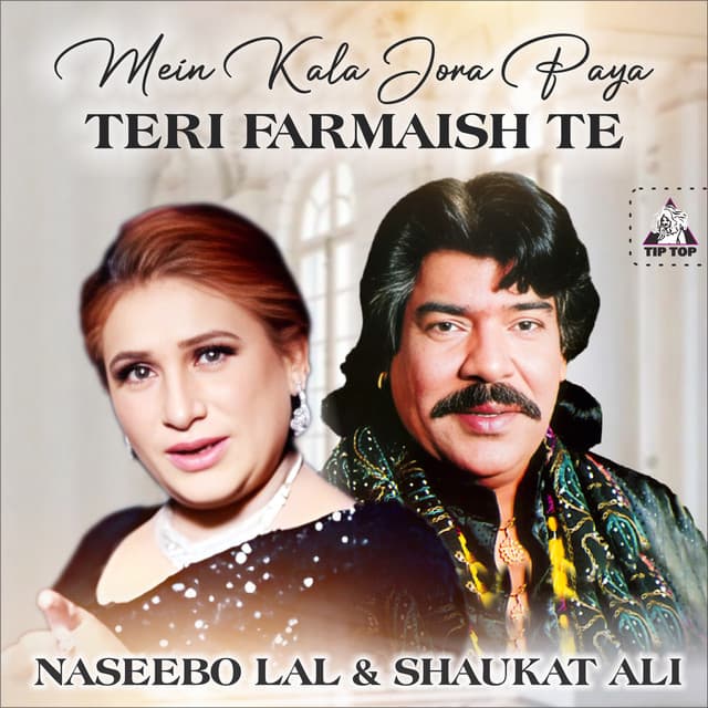 Mein Kala Jora Paya Teri Farmaish Te cover art