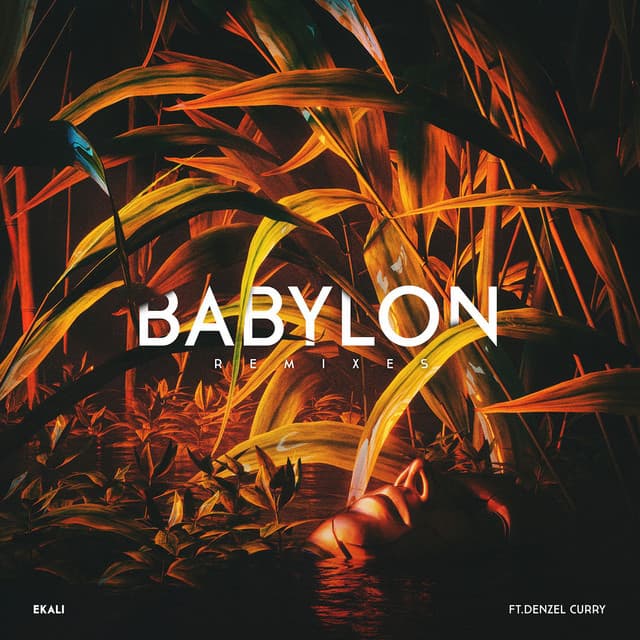 Babylon (feat. Denzel Curry) - Skrillex & Ronny J Remix cover art