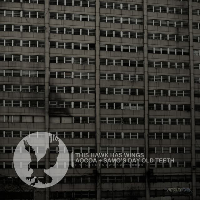 This Hawk Has Wings cover art