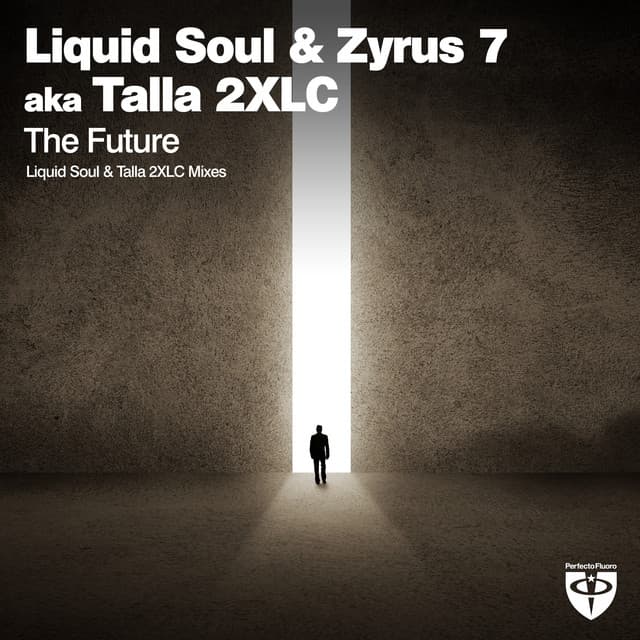 The Future - Liquid Soul Mix cover art