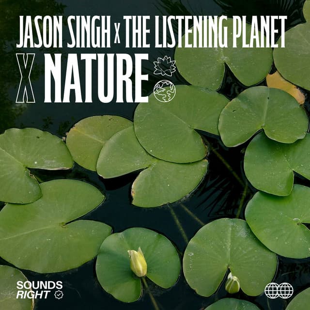 Nature's Voice II cover art