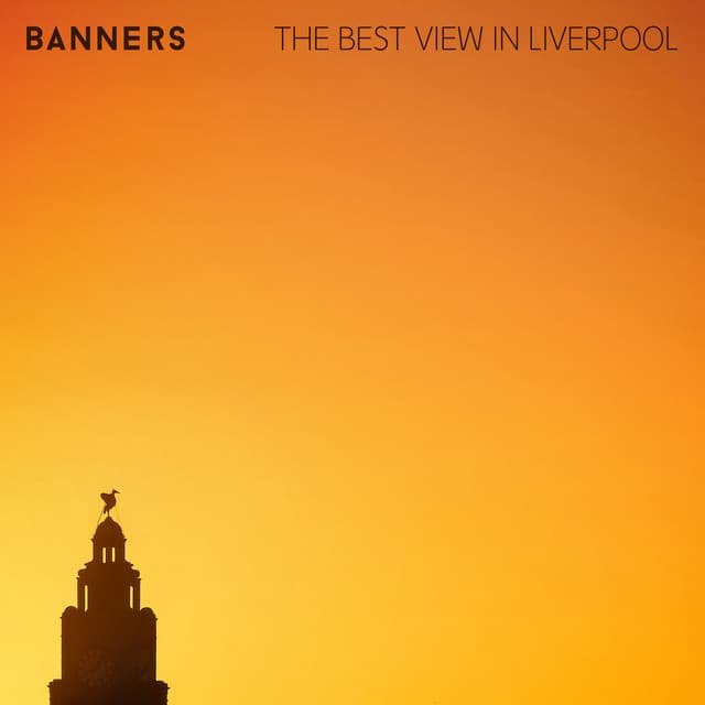 The Best View in Liverpool cover art