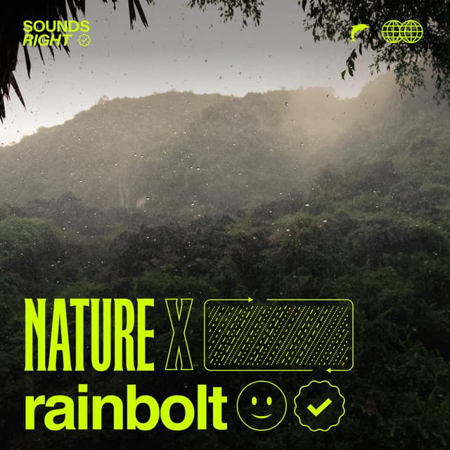 costa rica rains cover art