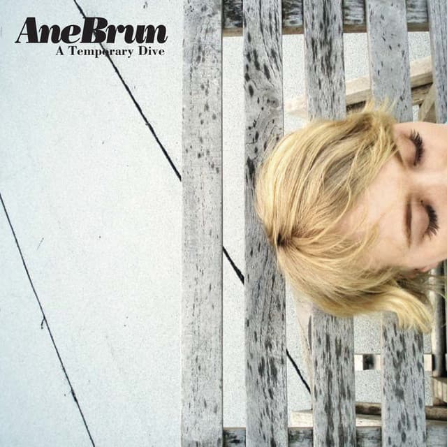 A Temporary Dive cover art