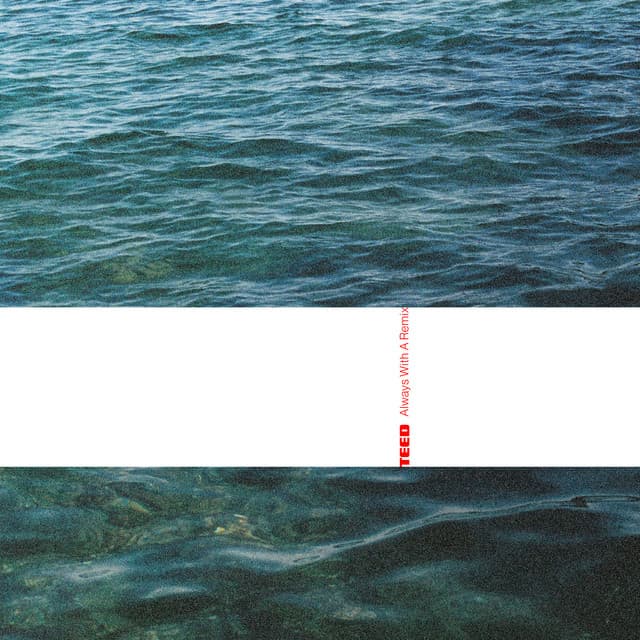 The Echo - Durante Remix cover art