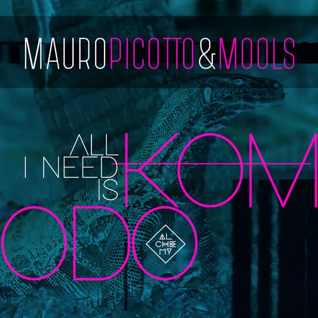 All I Need Is Komodo - Pagano Radio Edit cover art