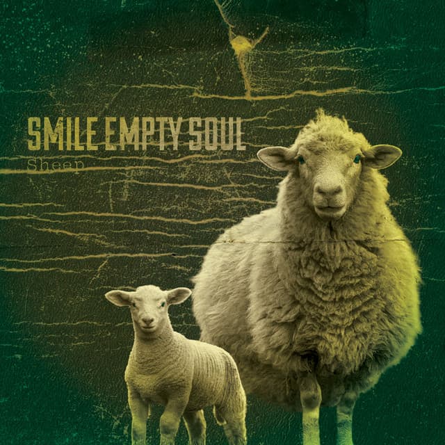 Sheep cover art
