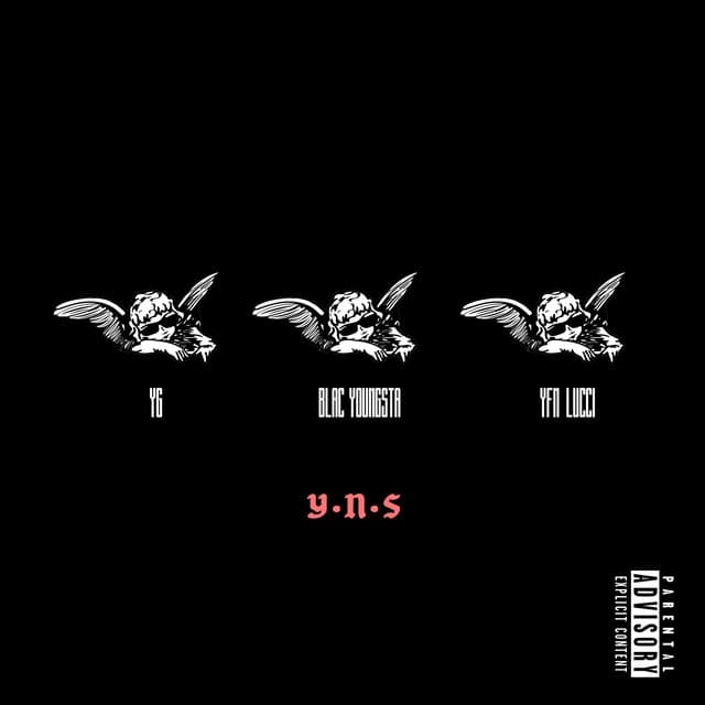 YNS cover art