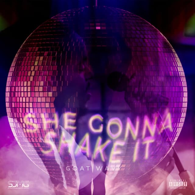 She Gonna Shake It cover art