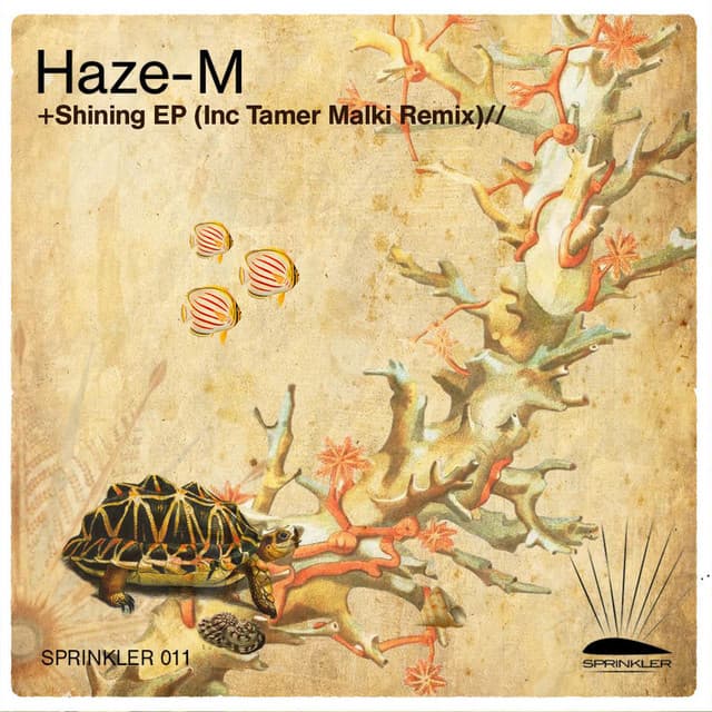 Shining cover art