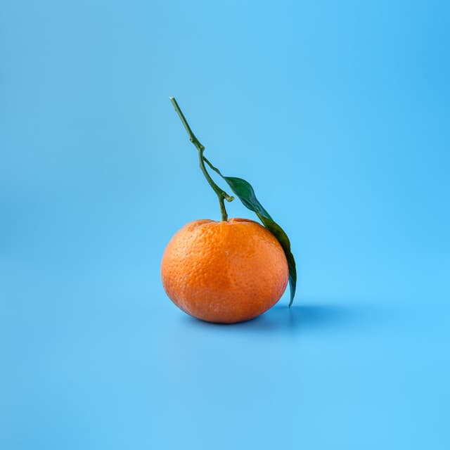 Oranges cover art