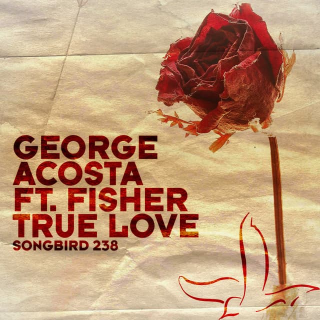True Love - Extended Mix cover art