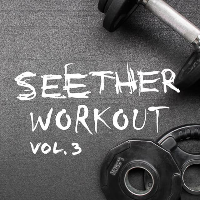 Seether Workout Vol. 3 cover art