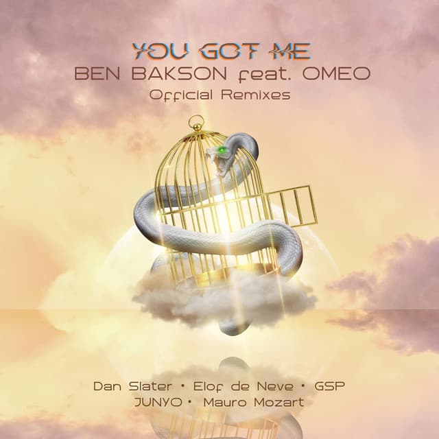 You Got Me - Elof de Neve Remix cover art