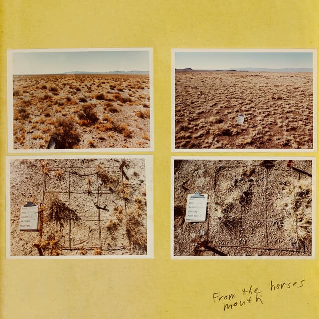 From the horse’s mouth cover art