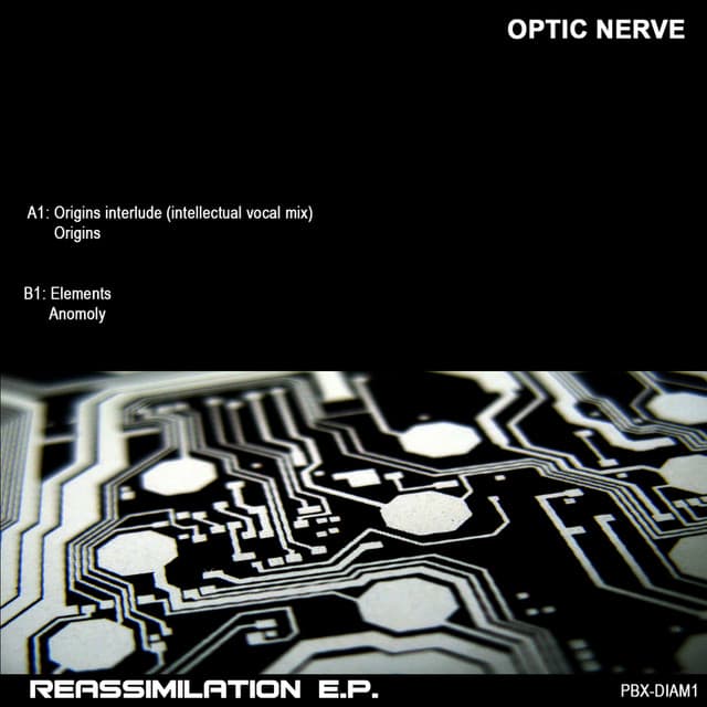 Reassimilation EP cover art