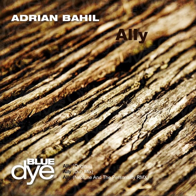 Ally cover art