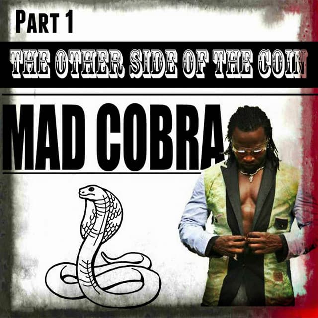 The Other Side of the Coin, Part 1 cover art