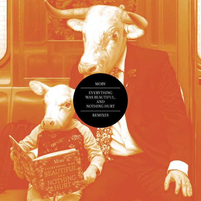 Everything Was Beautiful, and Nothing Hurt (Remixes) cover art