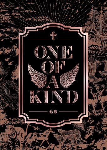 One of a Kind cover art