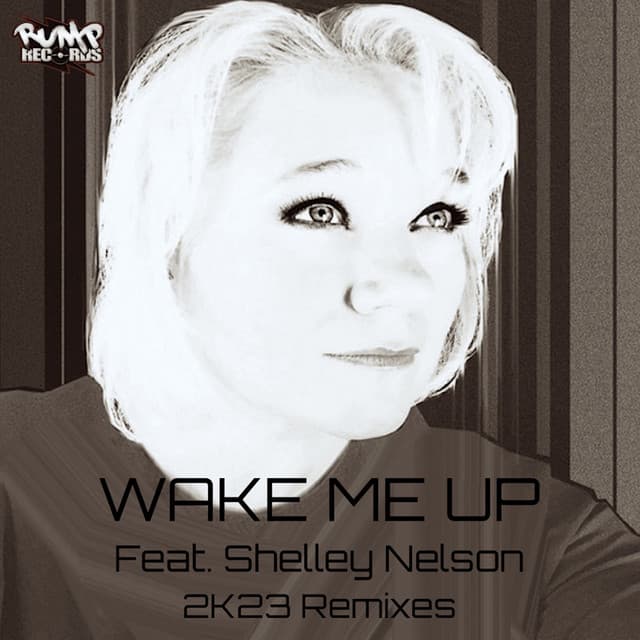 Wake Me Up - DJ Paul French Remix cover art