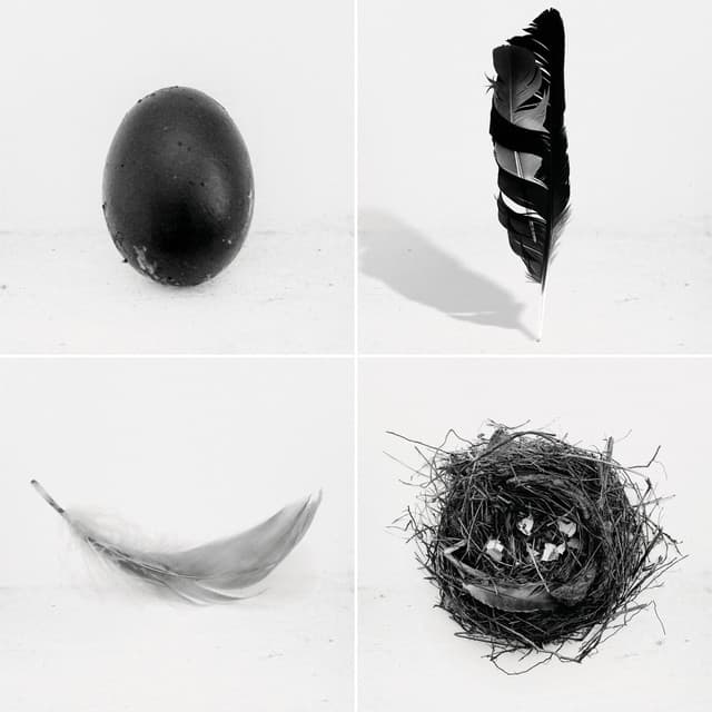 The Singles cover art