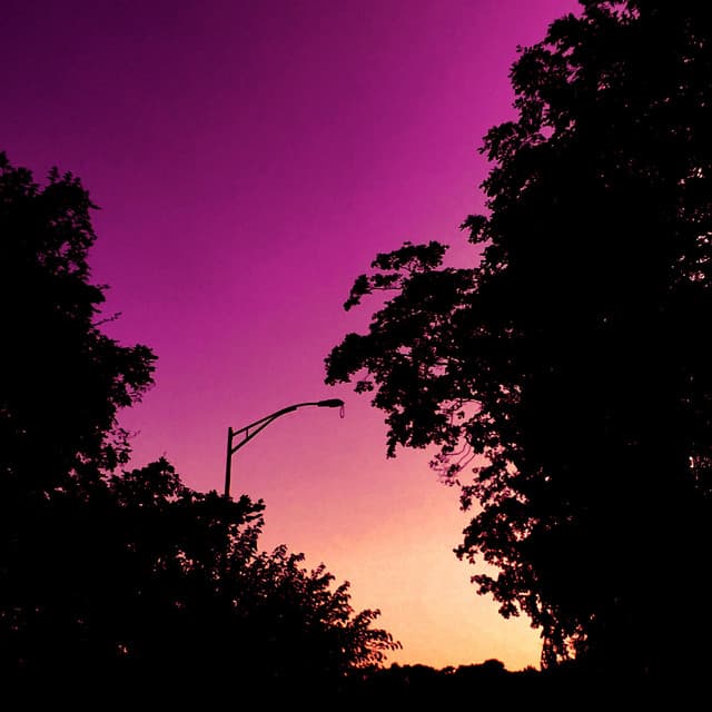 Bleed for No Reason cover art