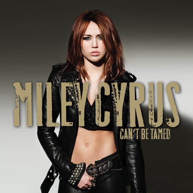 Can't Be Tamed cover art