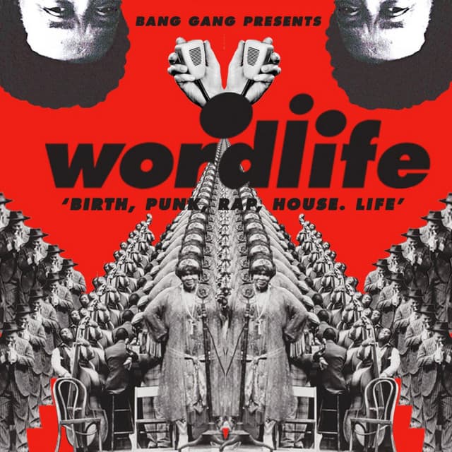 Birth, Punk, Rap, House. Life cover art