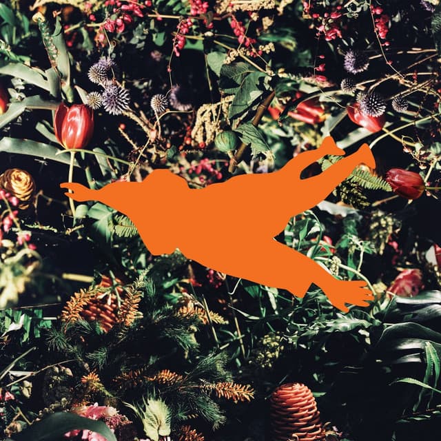 Ten Foot Flowers (IN2STELLAR remix) cover art
