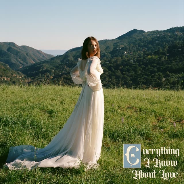 Valentine cover art