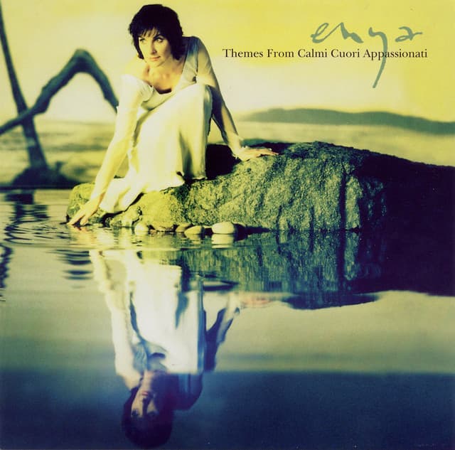 Themes From "Calmi Cuori Appassionati" cover art