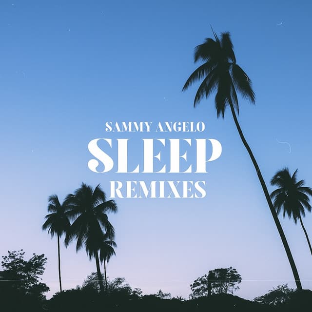 Sleep - Wilson Remix cover art