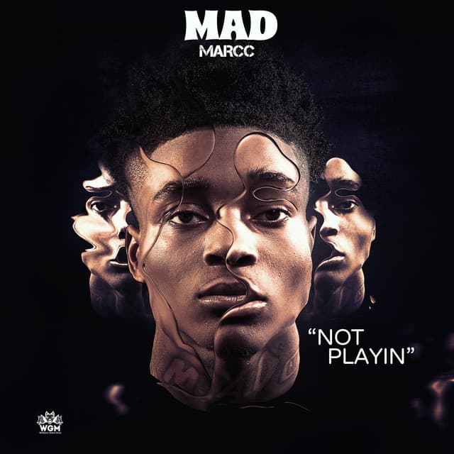 Not Playin cover art
