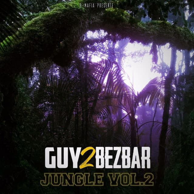 Etape sur étape cover art