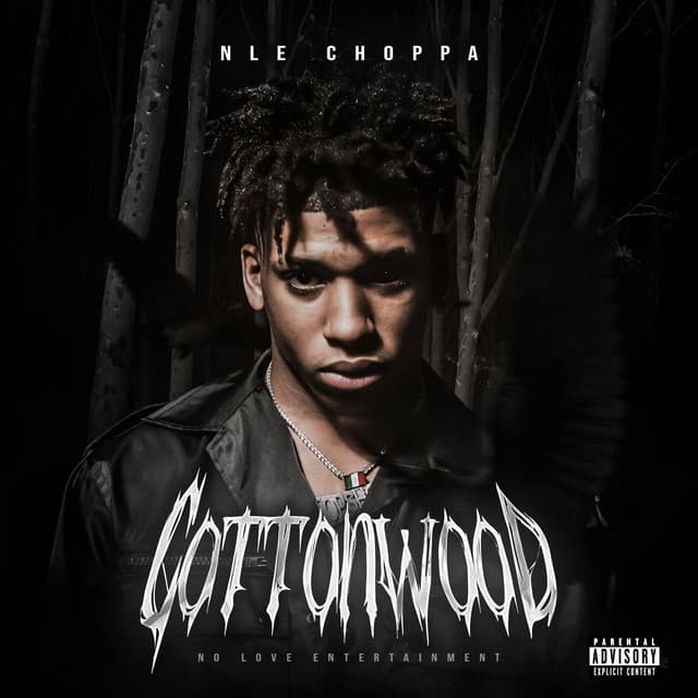 Shotta Flow (feat. Blueface) - Remix cover art